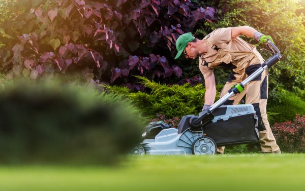 Cost of Lawn Care And Maintenance in Marietta