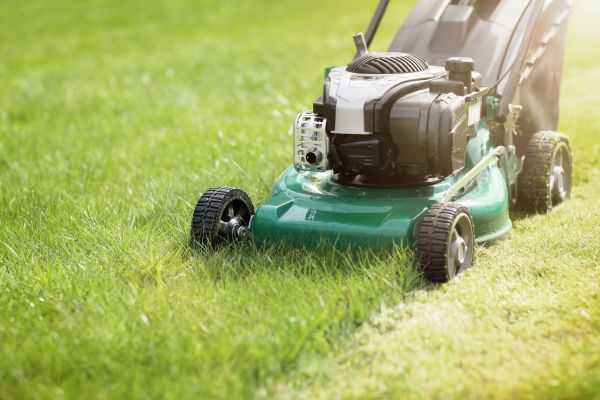 Cost of Yard Cutting in Marietta