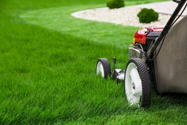Cost of Yard Maintenance in Marietta