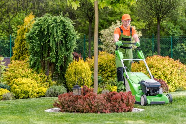Cost of Yard Service in Marietta