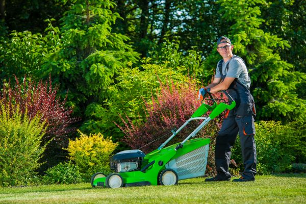 Cost of Yard Work Service in Marietta