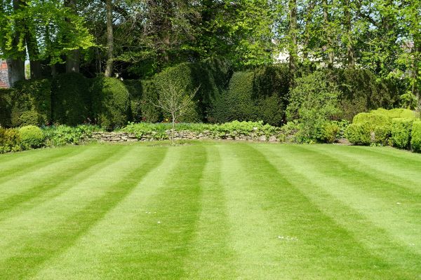 Cost of Grass Care Service in Marietta