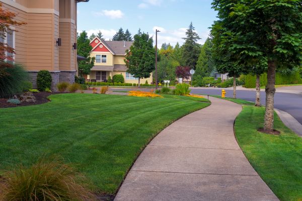 Cost of Home Lawn Maintenance in Marietta