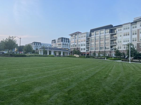Cost of Urban Lawn Care in Marietta