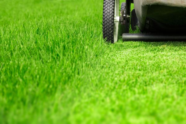 Cost of Weekly Lawn Care in Marietta