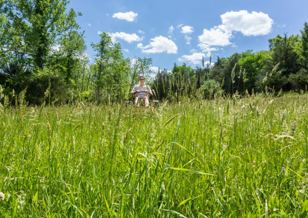 Cost of Long Grass Mowing in Marietta