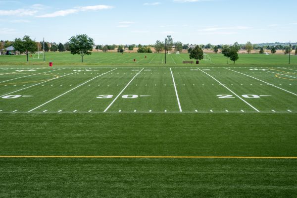 Cost of Groundskeeping Service in Marietta