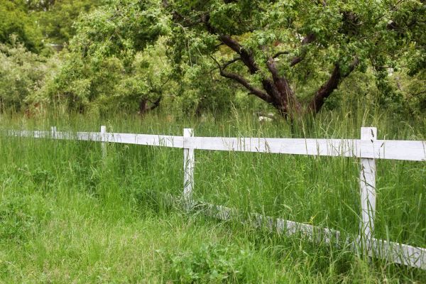Cost of Fence Line Trimming in Marietta