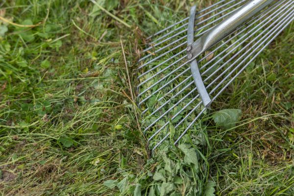 Cost of Thatch Raking in Marietta