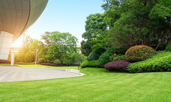 Cost of Business Groundskeeping in Marietta