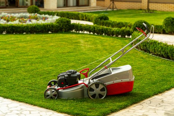 Cost of Business Grass Cutting in Marietta