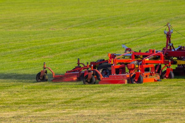 Cost of Industrial Lawn Service in Marietta