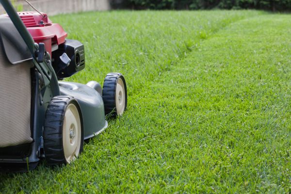 Cost of Spring Lawn Maintenance in Marietta