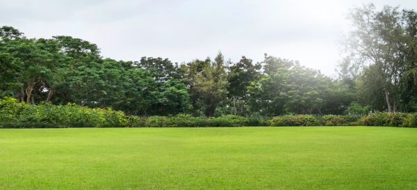 Cost of Golf Course Mowing in Marietta
