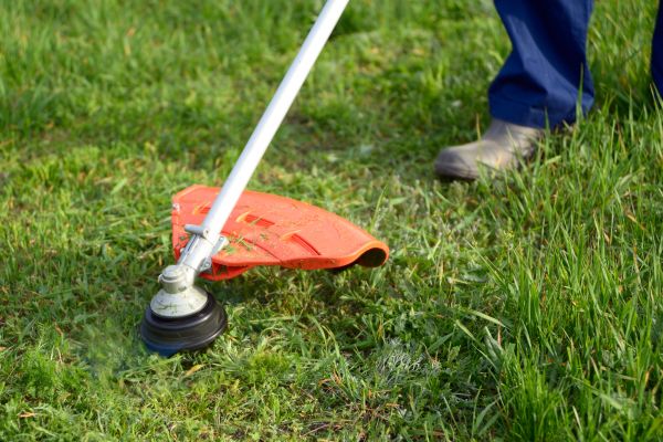 Cost of Lawn Weed Whacking in Marietta