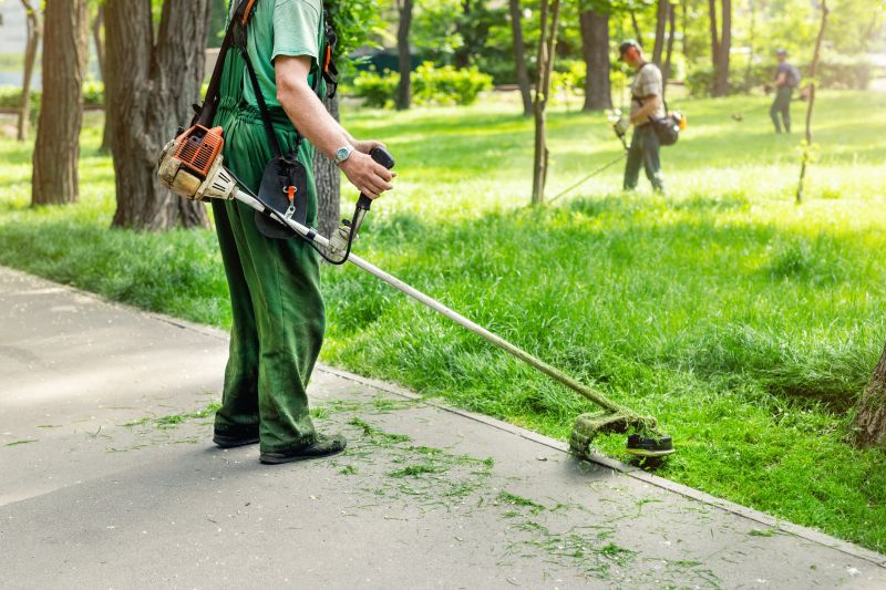 Professional Lawn Care