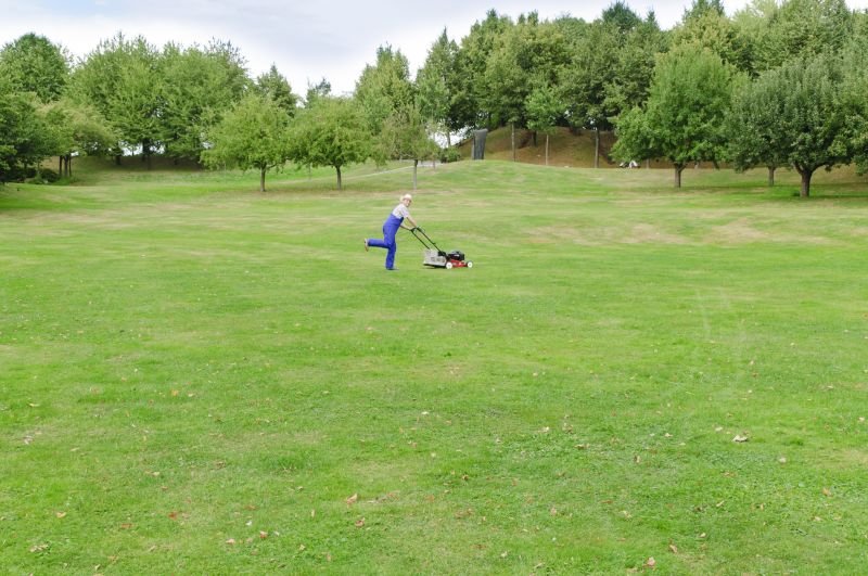 Lawn Mowing in Spring