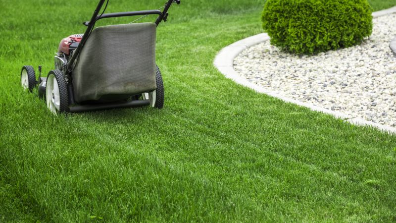 Healthy Lawn Mowing