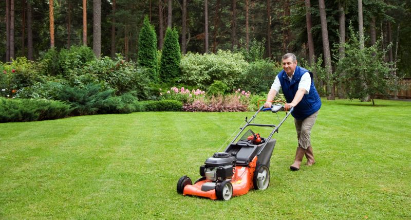 Expert Lawn Care Advice